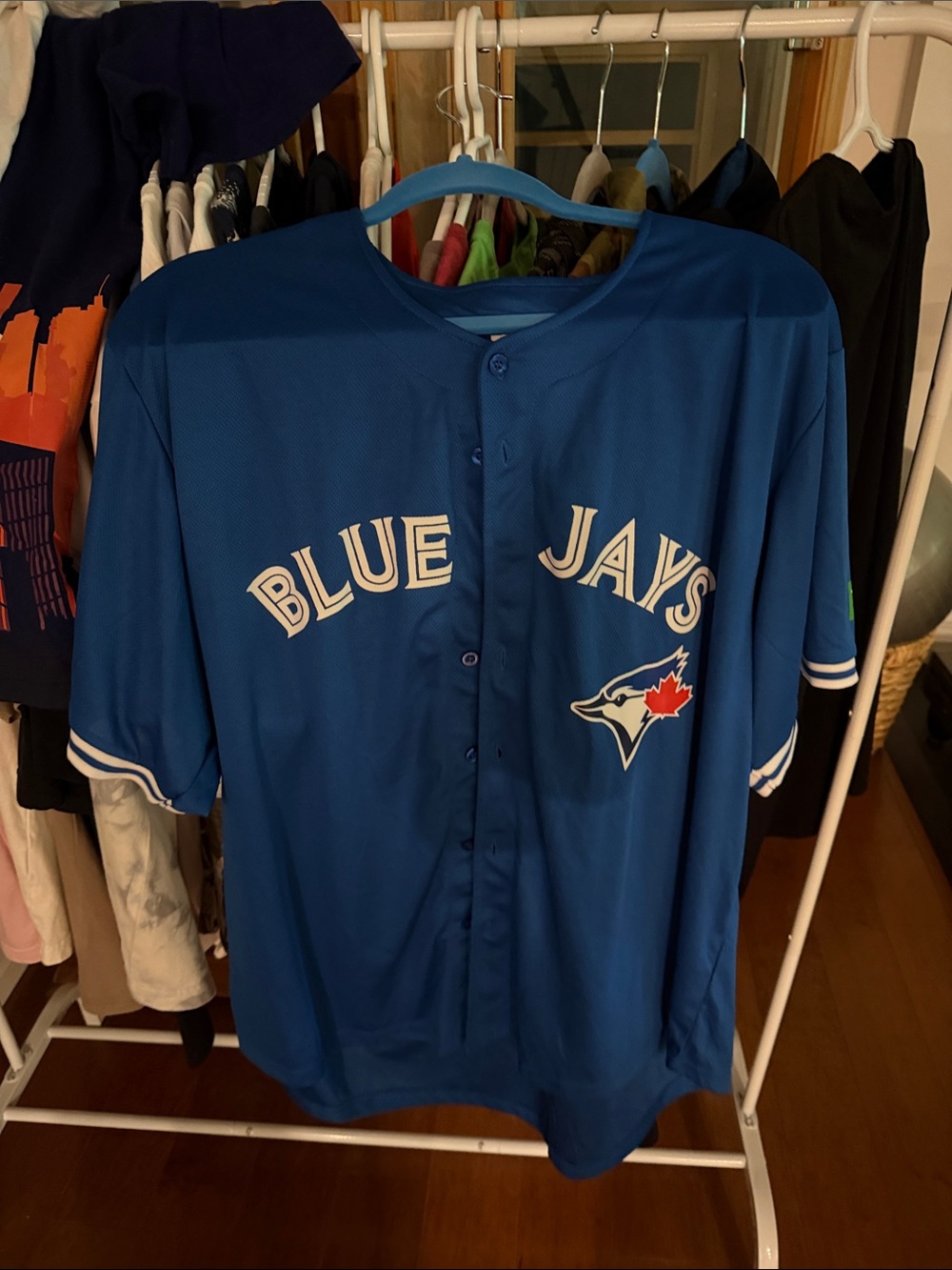 Toronto Blue Jays Men's Royal Blue Baseball Pride Jersey